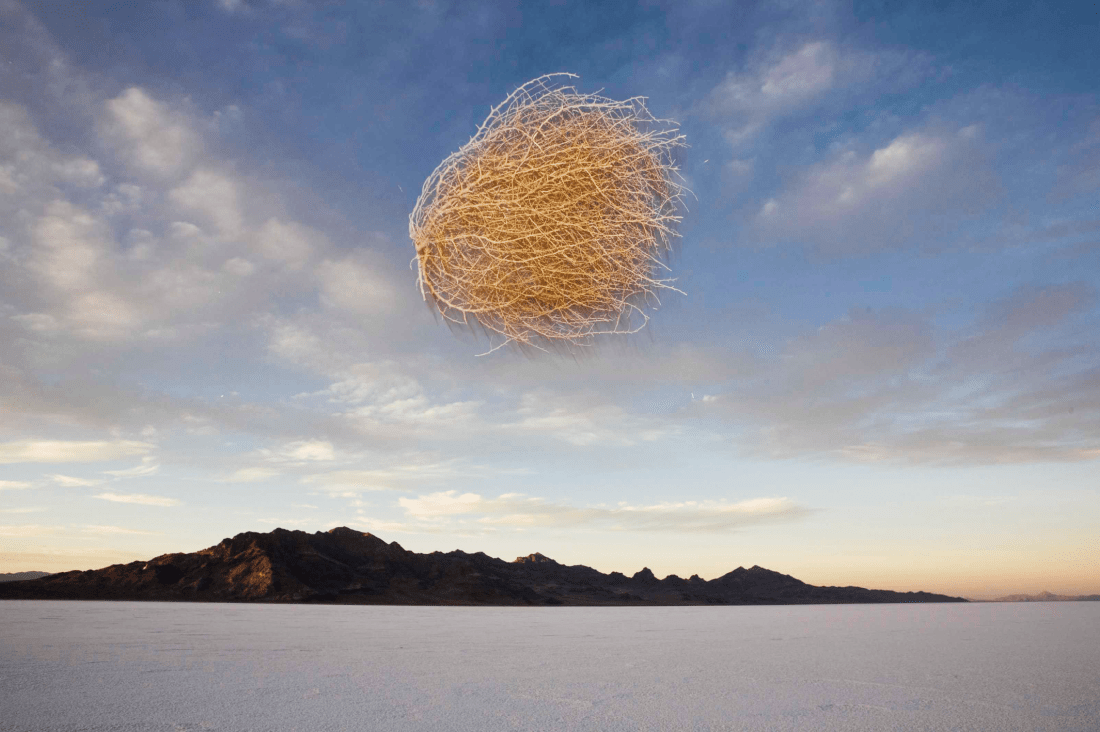 brightness and contrast