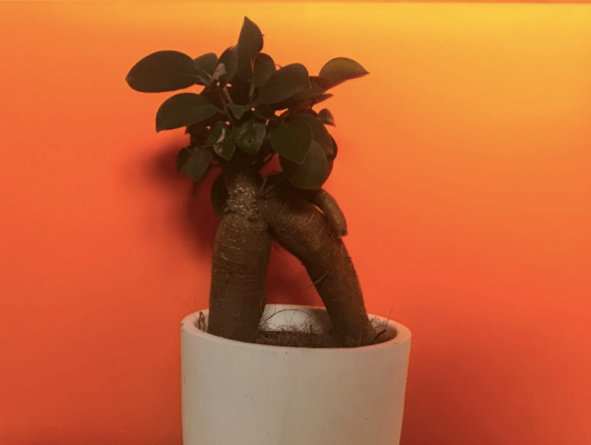 Screenshot 2019-04-11 at 10.51.01 am